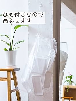 ひぃ　2袋 Amazon.co.jp: ジャパックス チャック付き ポリ袋 透明 横24×縦